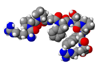 molécule de bradykinine