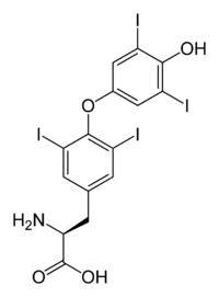 Lévothyroxine