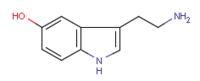 Sérotonine